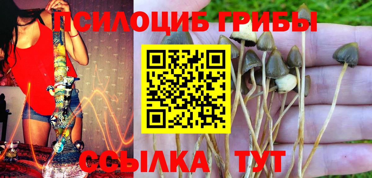 Псилоцибиновые грибы MAGIC MUSHROOMS Изобильный